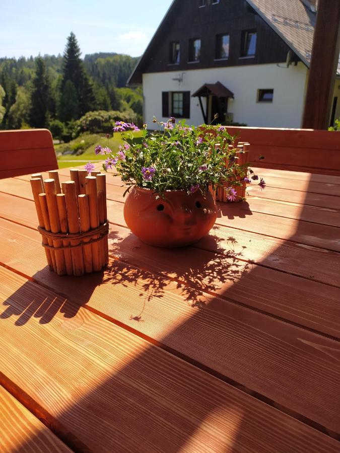 U Tomicku Hotel Paseky nad Jizerou Kültér fotó
