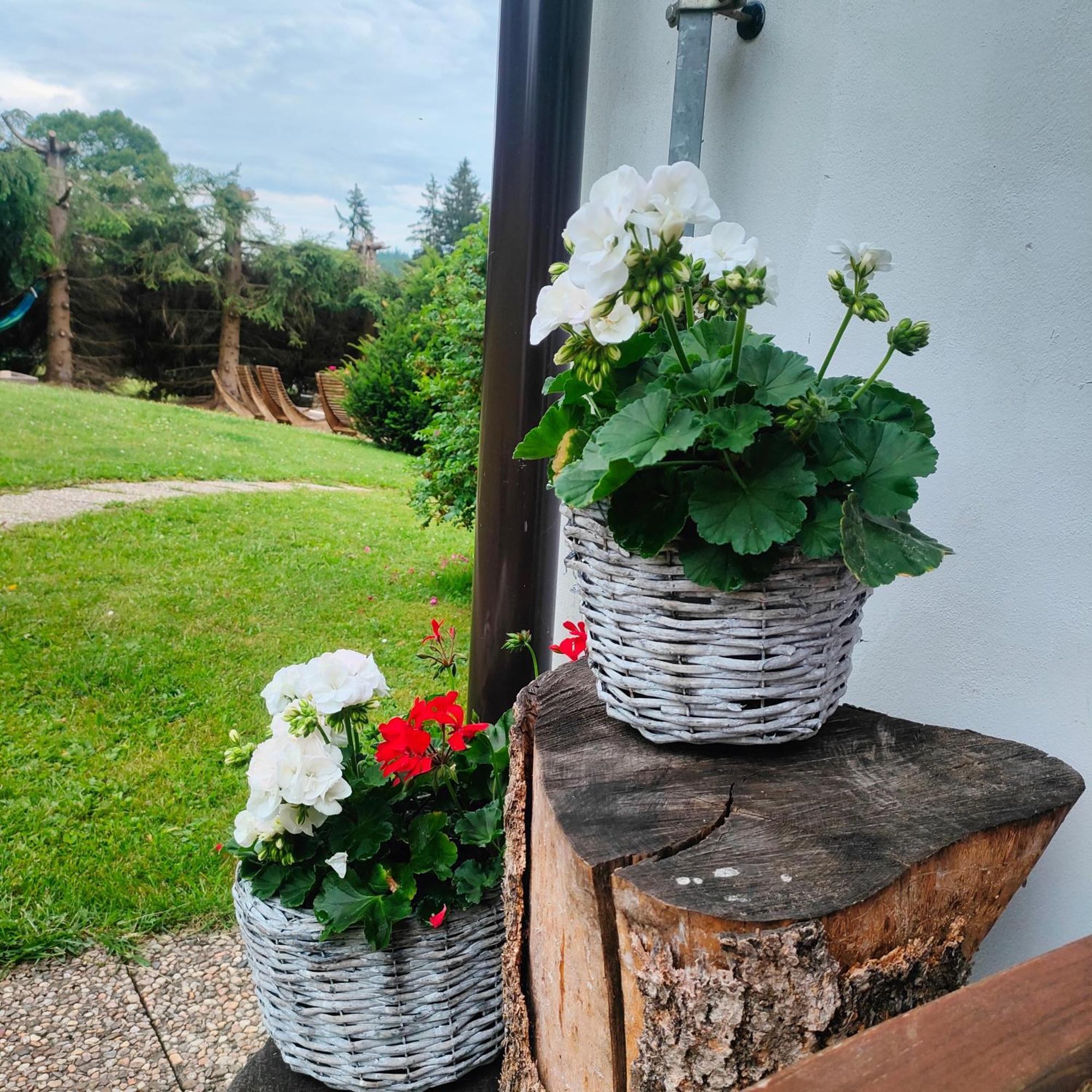 U Tomicku Hotel Paseky nad Jizerou Kültér fotó
